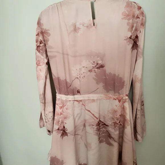 All Saints Cassandra Ume Petal Pink Dress Long Sleeve Size 4 - Picture 14 of 16